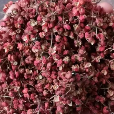 陕西精品大红袍花椒高原精品大红袍花椒