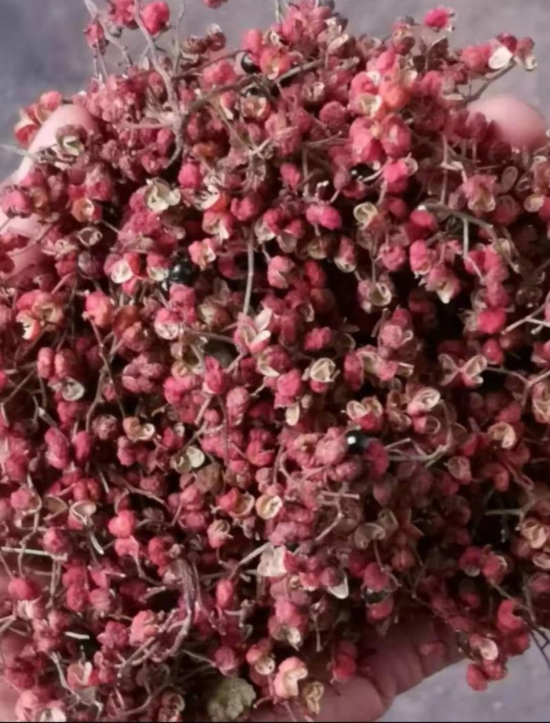 陕西精品大红袍花椒高原精品大红袍花椒
