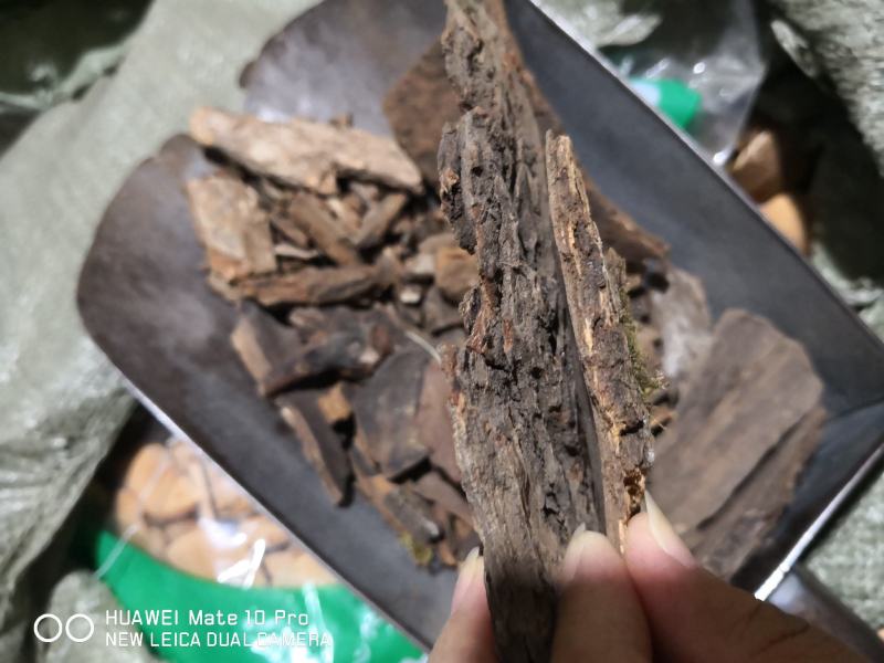 樟树皮干货量大从优经营各种中药材