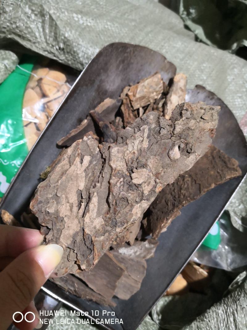 樟树皮干货量大从优经营各种中药材