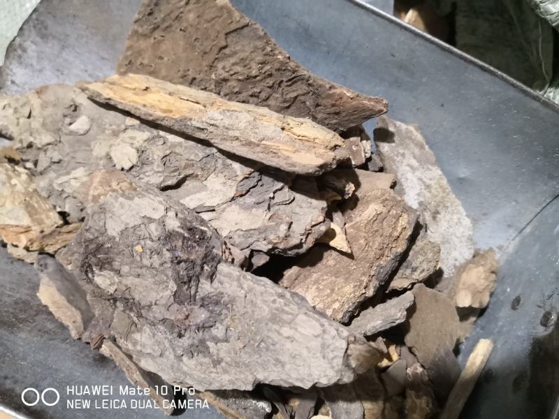 樟树皮干货量大从优经营各种中药材