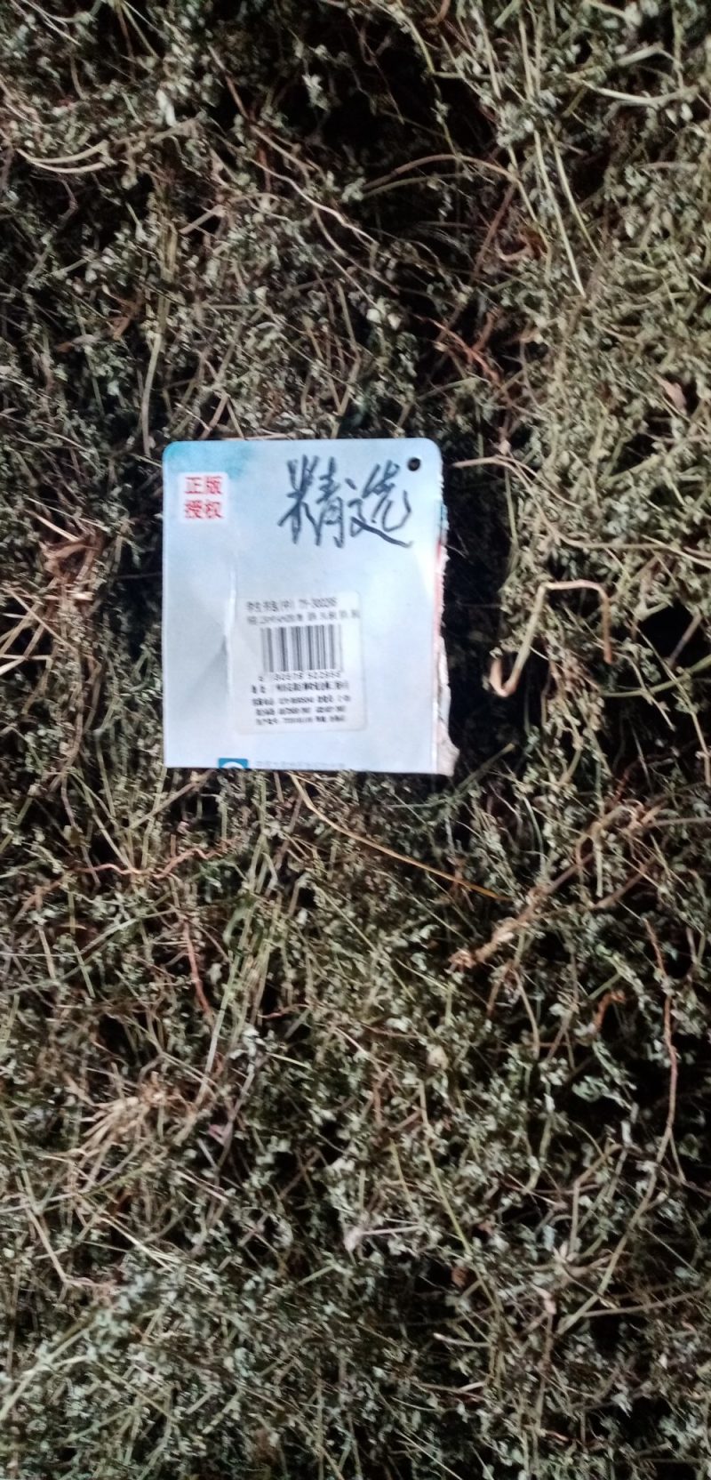 地锦草，铺地草，血风草，，奶浆草精选散装有大货，价格优惠