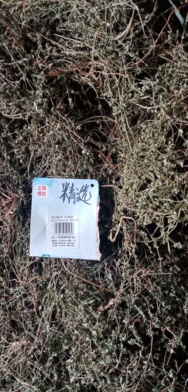 地锦草，铺地草，血风草，，奶浆草精选散装有大货，价格优惠