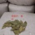 特绿香叶选货片大无枝梗统香叶统绿香叶大量供应批零兼营