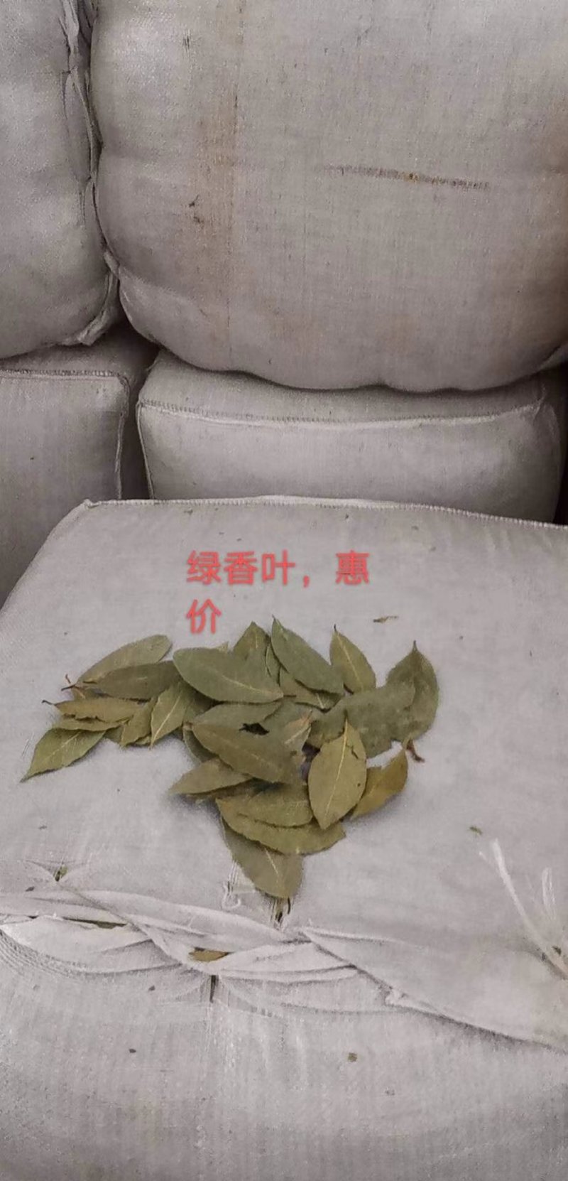 特绿香叶选货片大无枝梗统香叶统绿香叶大量供应批零兼营