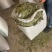 特绿香叶选货片大无枝梗统香叶统绿香叶大量供应批零兼营