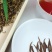 凤冈锌硒茶（特级）富硒富硒