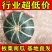 板栗南瓜新板栗味贝贝基地直发电商一件代发进口种源