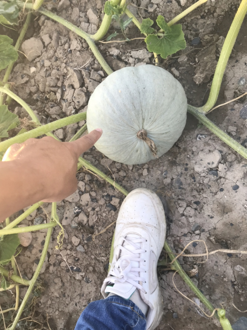 品质保障：物美价廉……
