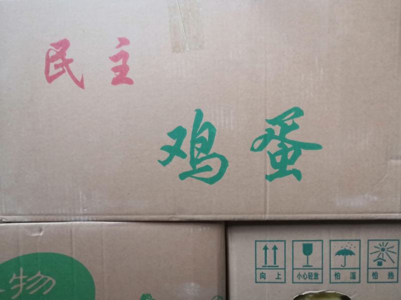 用过一次的鸡蛋纸箱便宜处理，捡趴活