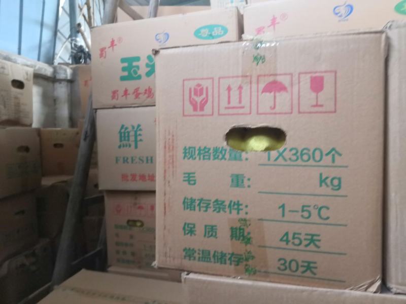 用过一次的鸡蛋纸箱便宜处理，捡趴活