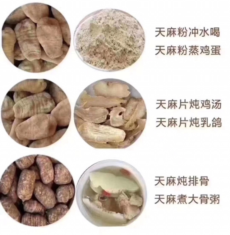 云南昭通天麻小草坝天麻昭通天麻片