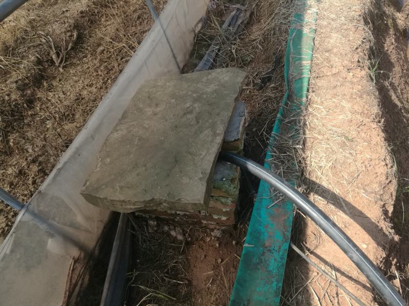 优质大棚转让(或出租)