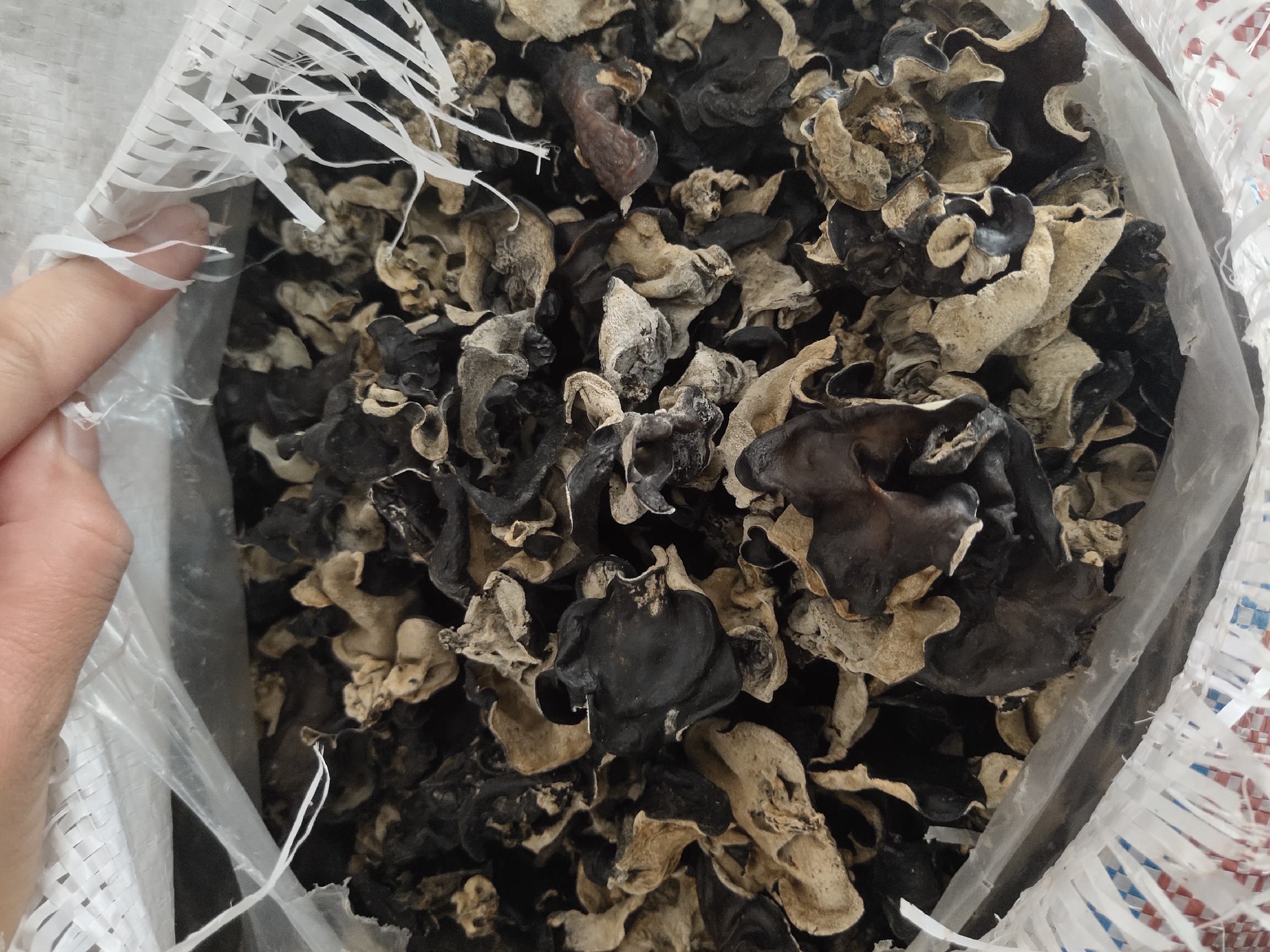 毛木耳烹饪成品展示图