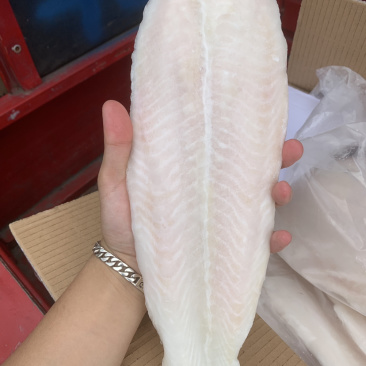 越南去皮带皮巴沙鱼，全规格，可视频看货，一手货源工厂直销