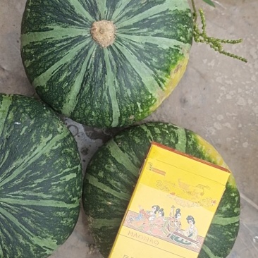 精品板栗南瓜电商专用1-3斤，有需要的联系我，