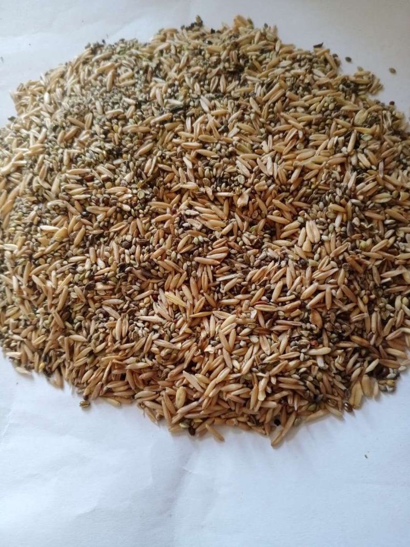价格底廉品质优渥，厂家直销燕麦糠适合饲料添加！