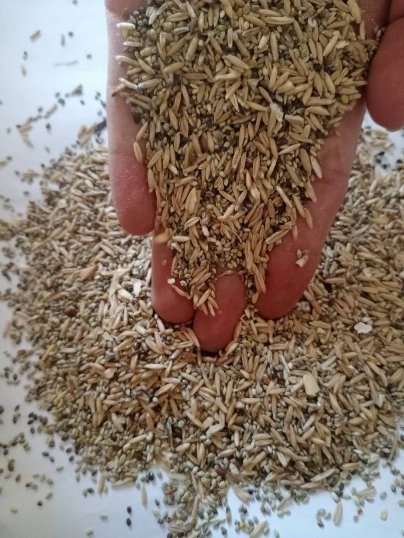 价格底廉品质优渥，厂家直销燕麦糠适合饲料添加！