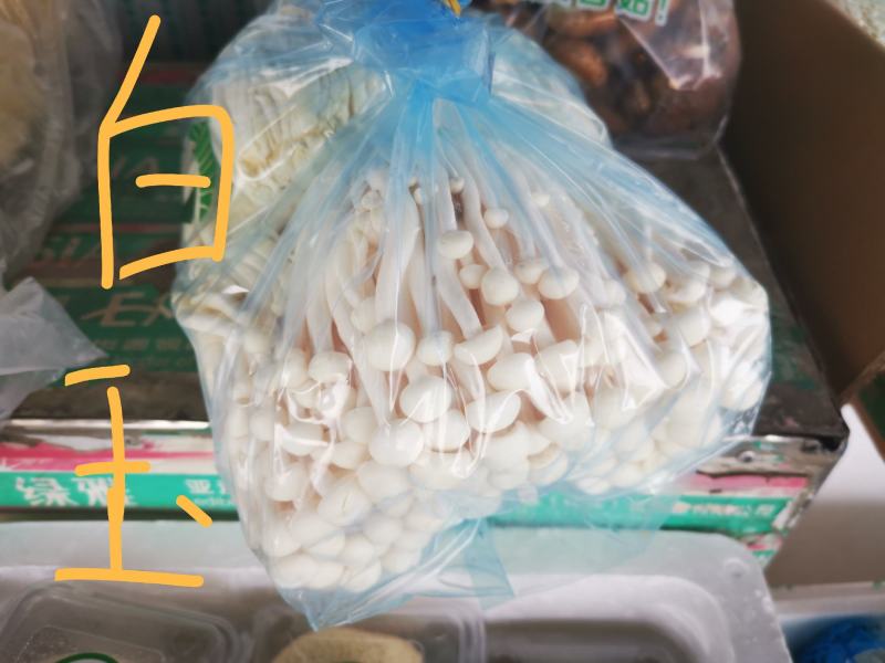 新鲜散装白玉菇特色食材酒店超市食堂批发商可联系