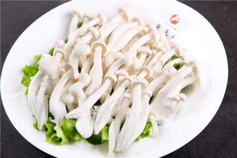 新鲜散装白玉菇特色食材酒店超市食堂批发商可联系