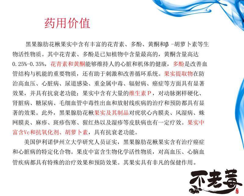 黑果花楸不老莓批发零售