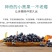 黑果花楸不老莓批发零售