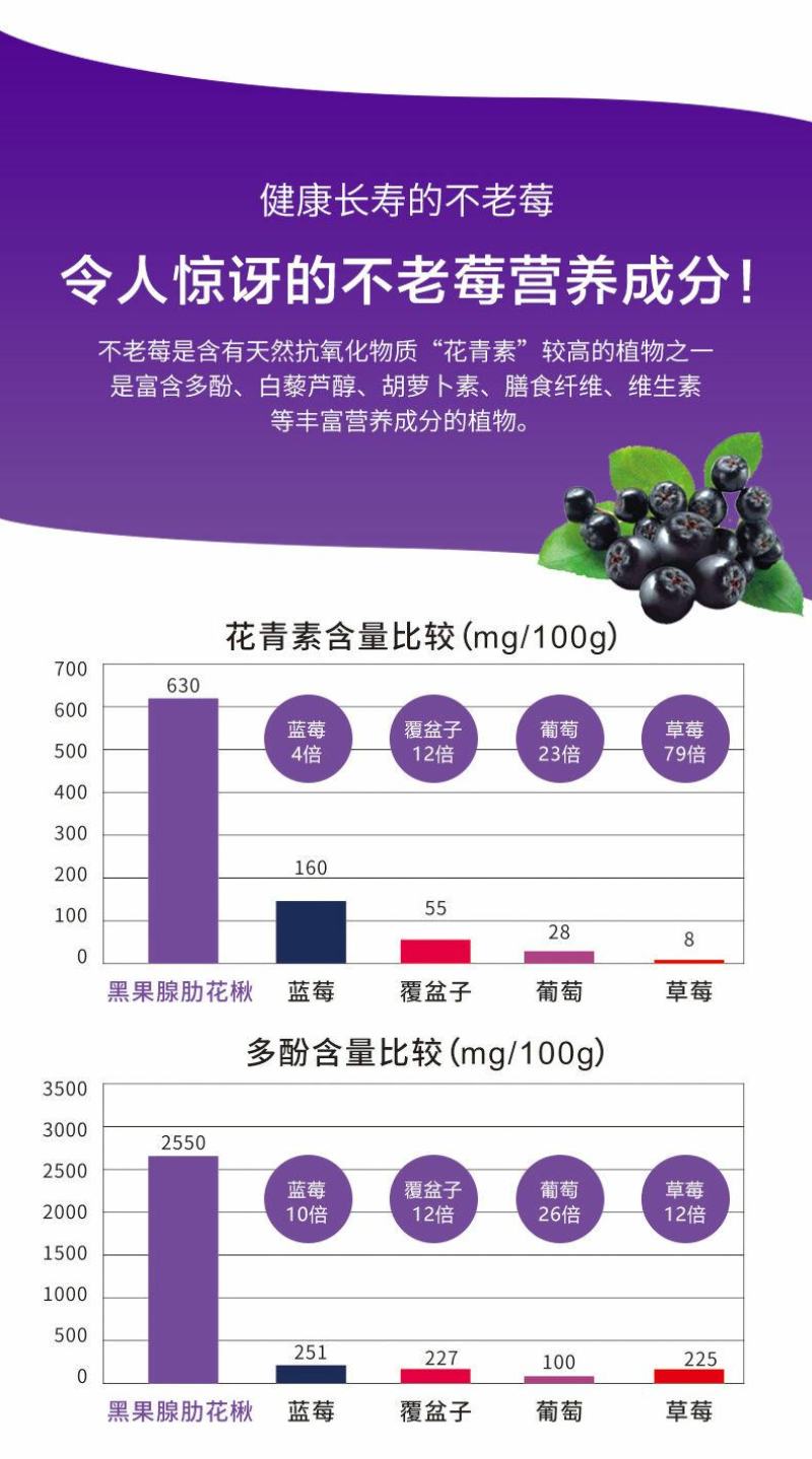 黑果花楸不老莓批发零售