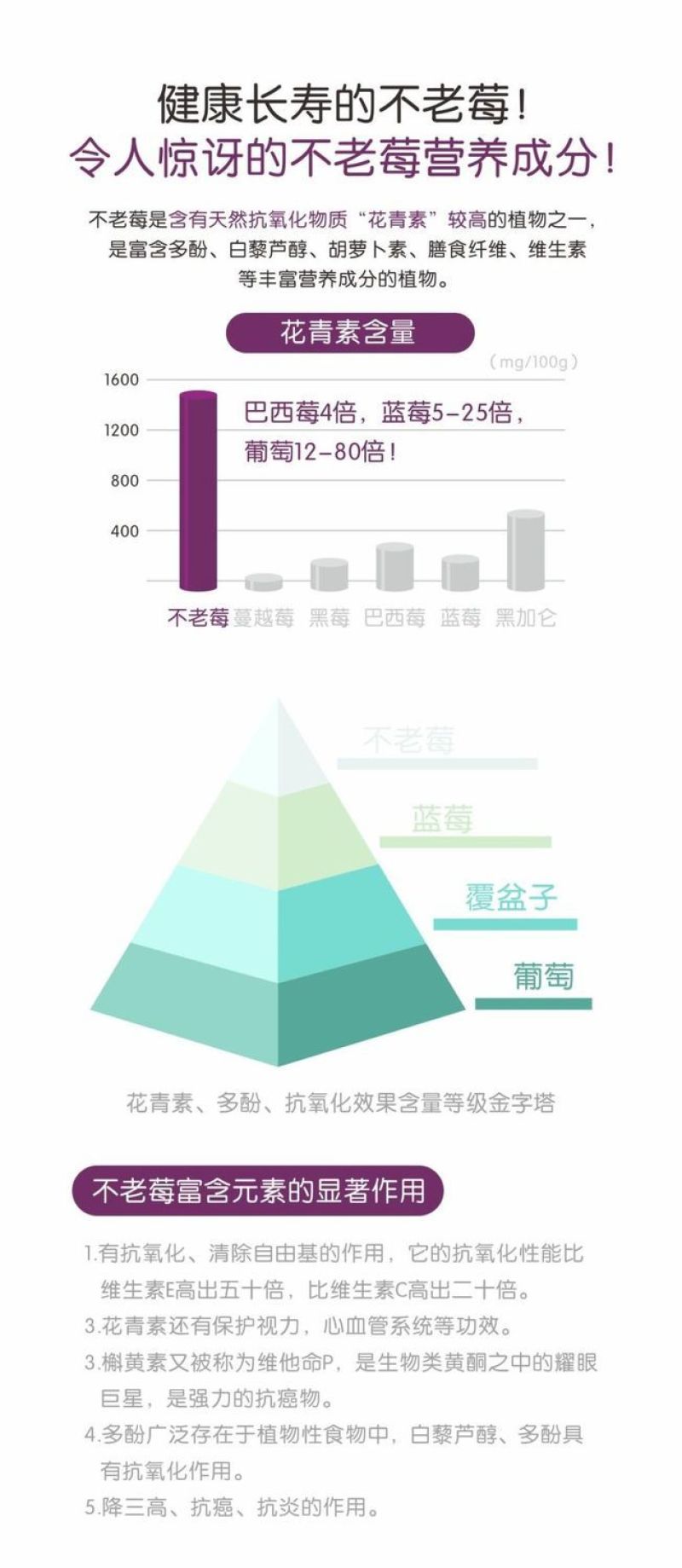 黑果花楸不老莓批发零售