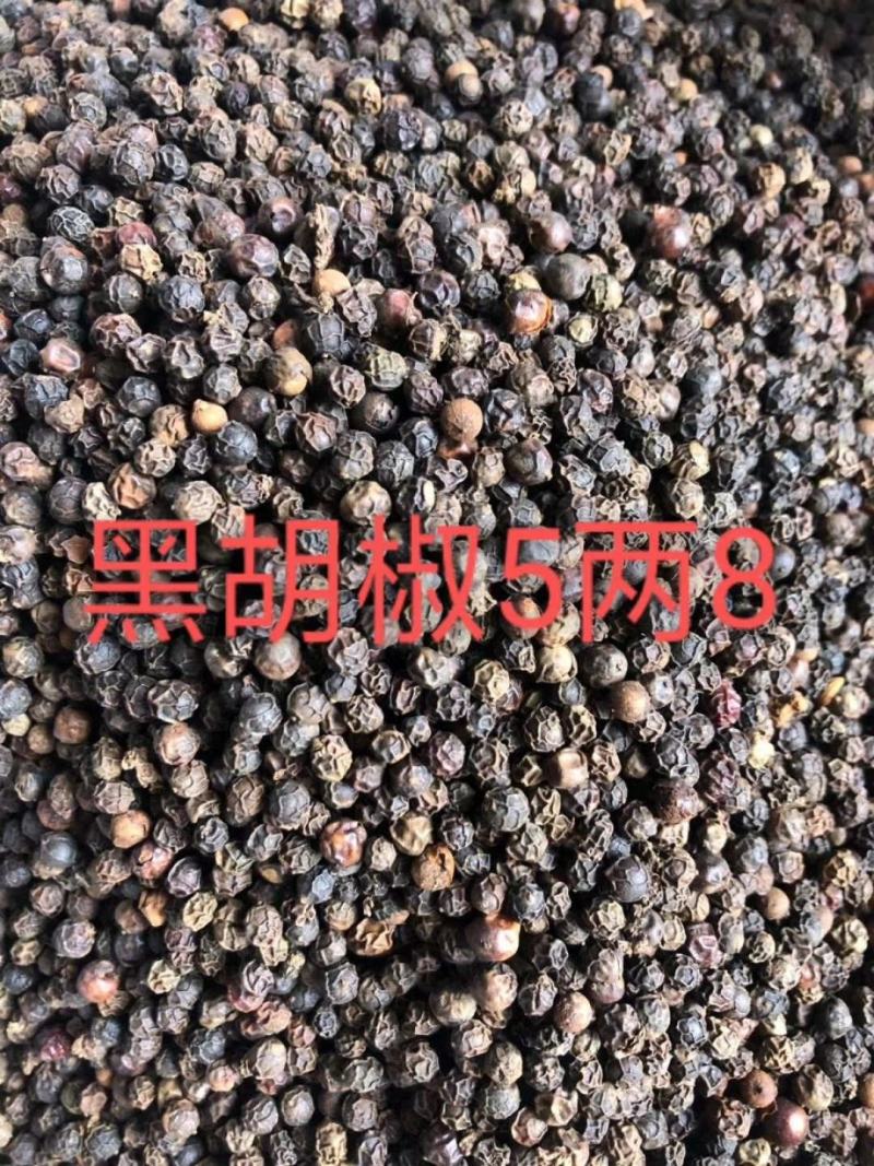 越南产地直销五两八黑胡椒，颗粒均匀，供超市餐饮走市场流通