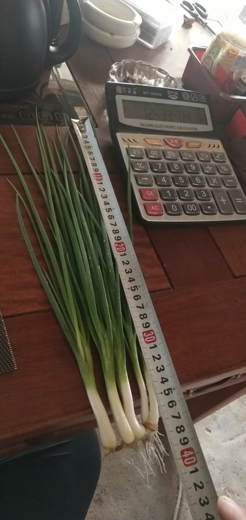 湛江香葱遂溪香葱徐闻香葱