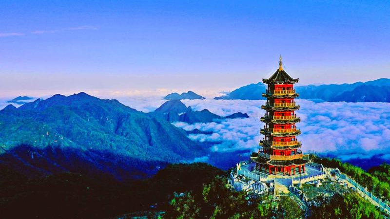巴山大峡谷土蜂蜜天然农家自产结晶药材花蜜预售