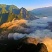巴山大峡谷土蜂蜜天然农家自产结晶药材花蜜预售
