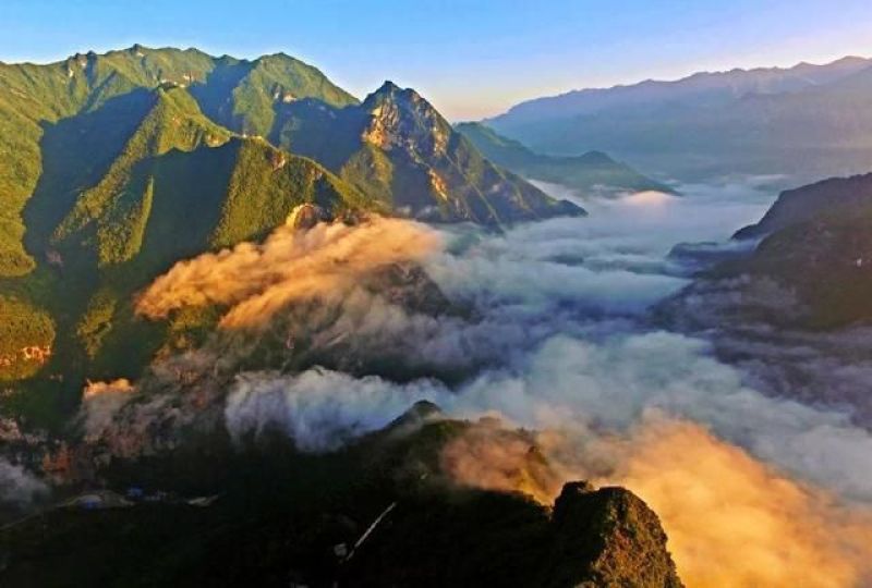 巴山大峡谷土蜂蜜天然农家自产结晶药材花蜜预售