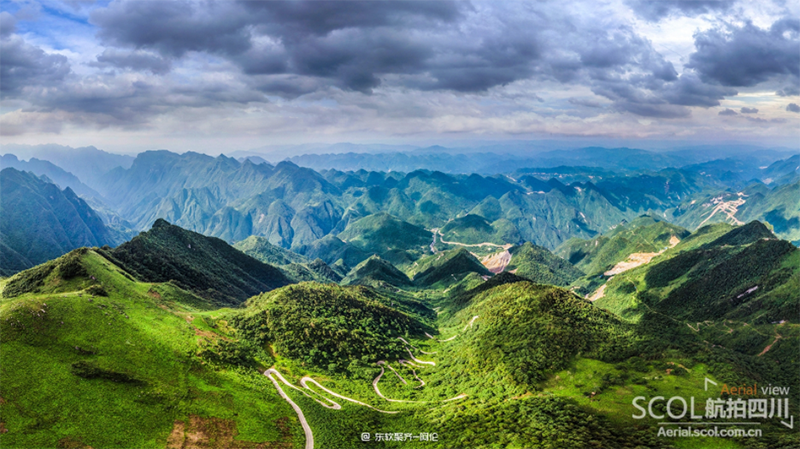 巴山大峡谷土蜂蜜天然农家自产结晶药材花蜜预售