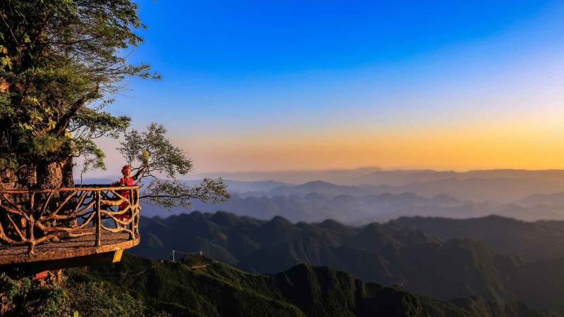 巴山大峡谷土蜂蜜天然农家自产结晶药材花蜜预售