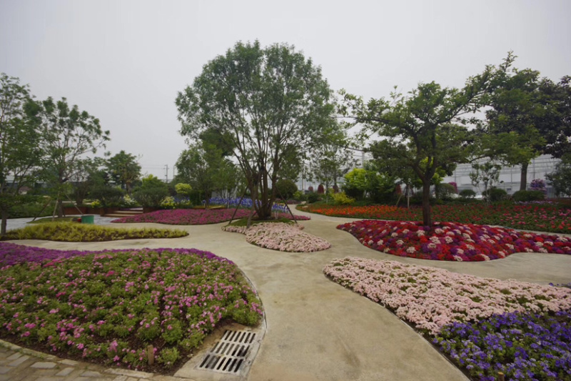 本种植园常年种植各种时令绿化草花
