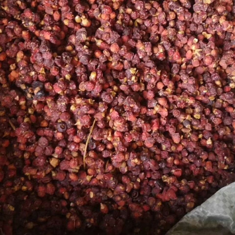 红豆杉一手货源产地直销