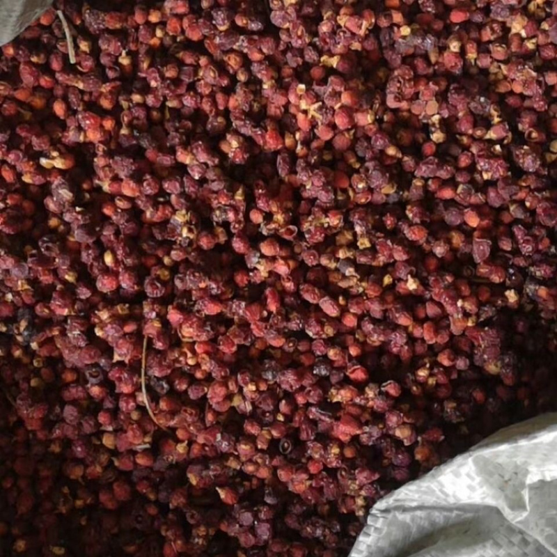 红豆杉一手货源产地直销