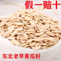 黄瓜子一手货源产地直销
