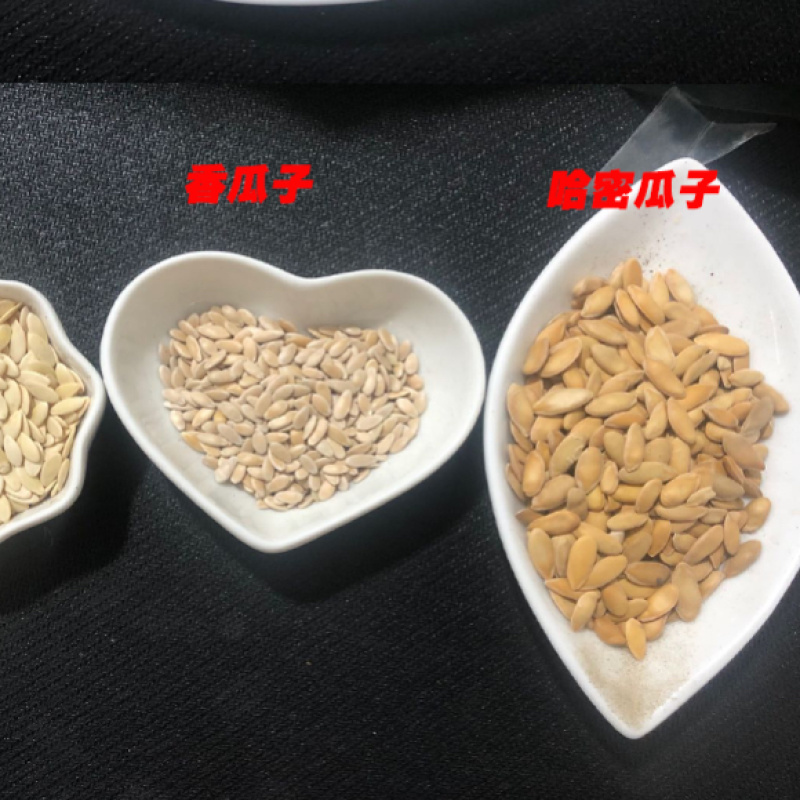 黄瓜子一手货源产地直销