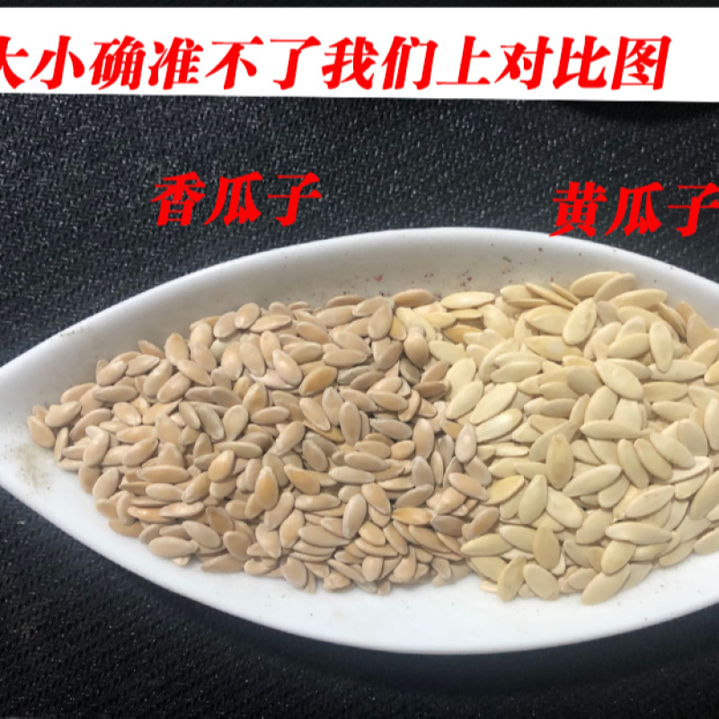 黄瓜子一手货源产地直销