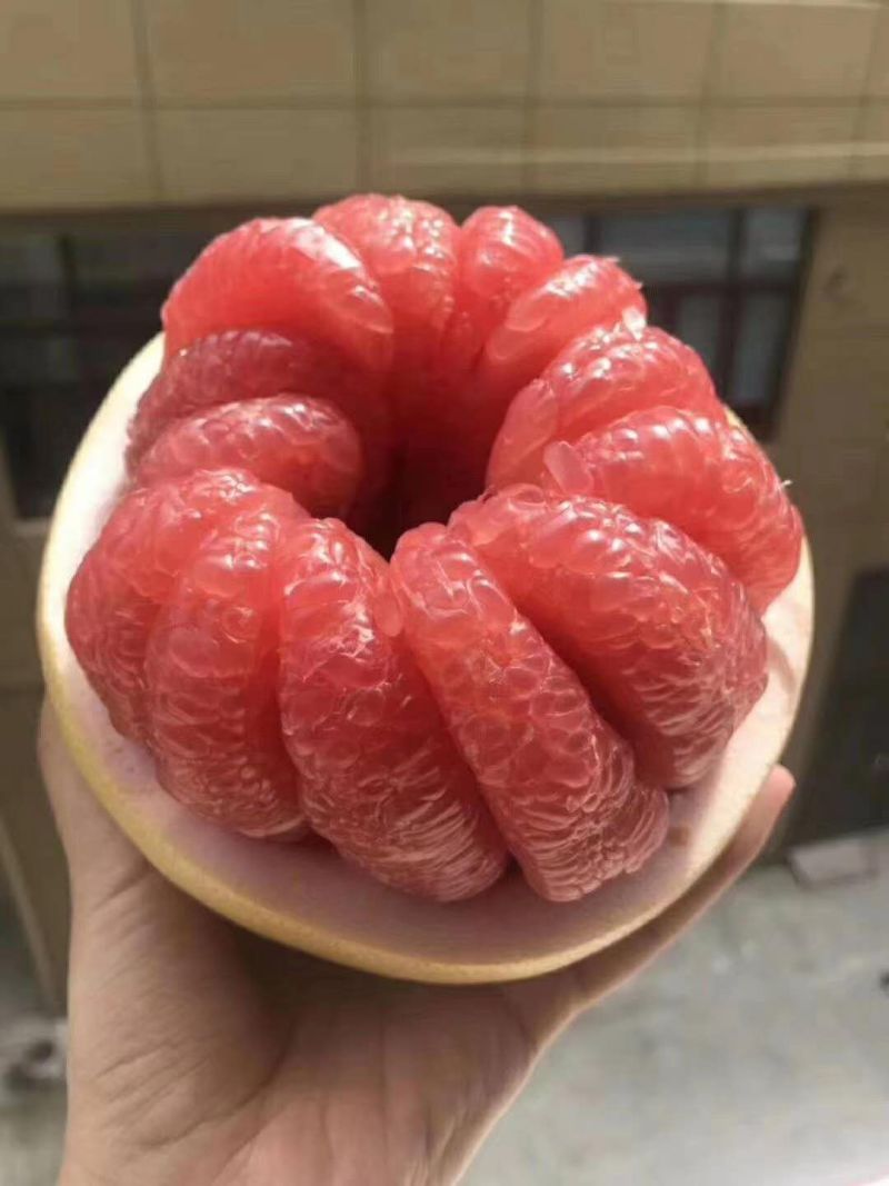 红心柚白心柚需要货的老板联系我