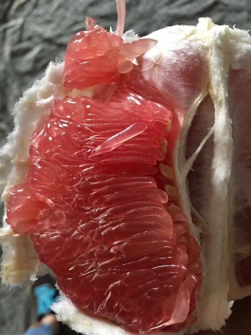 红心柚白心柚需要货的老板联系我