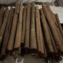 广西桂皮精品中通小通黄通，条形好无碎片大量供应批零兼营
