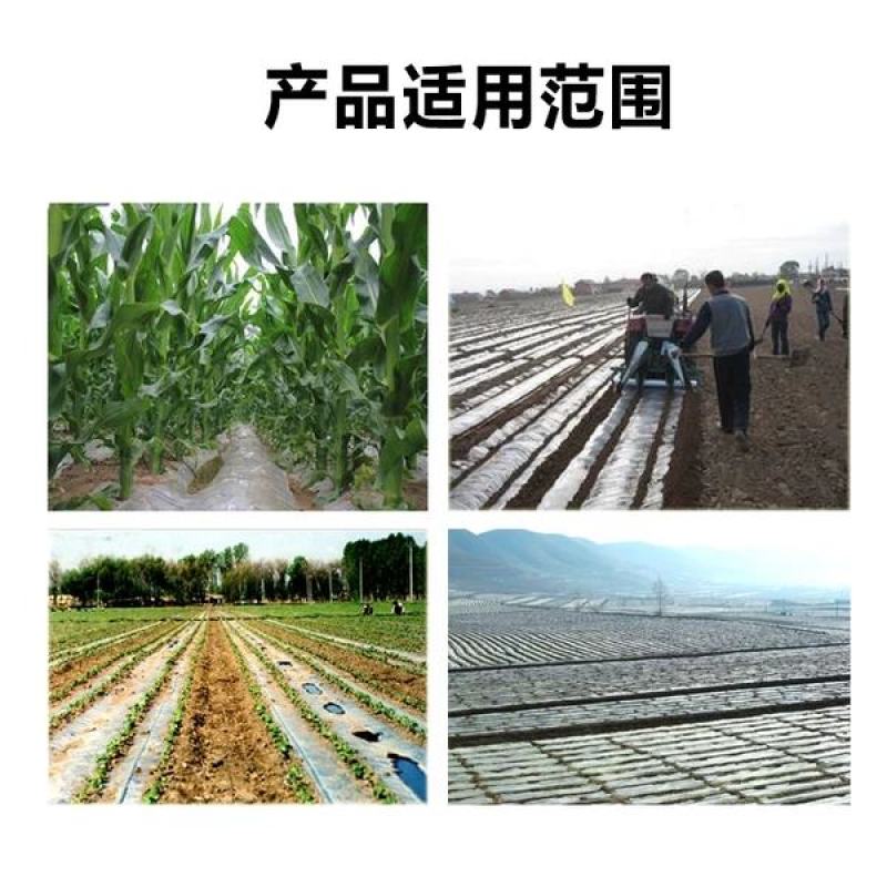 农用微喷带喷水带滴灌带雾化灌溉微喷喷灌滴灌设备自动浇水器