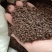 草决明子批发决明子泡茶喝的散装中药用生决明子食用熟炒决明