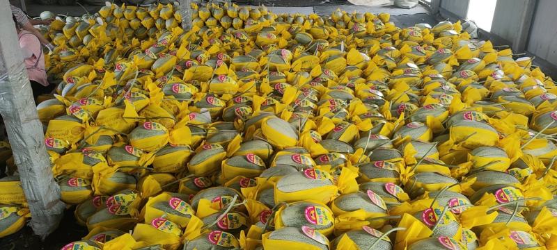 【精选】山东寿光小蜜25哈密瓜，量大质优，产地直供，