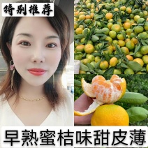 湖北柑橘特早蜜桔橘子甜蜜化渣果大皮薄产地自产自销