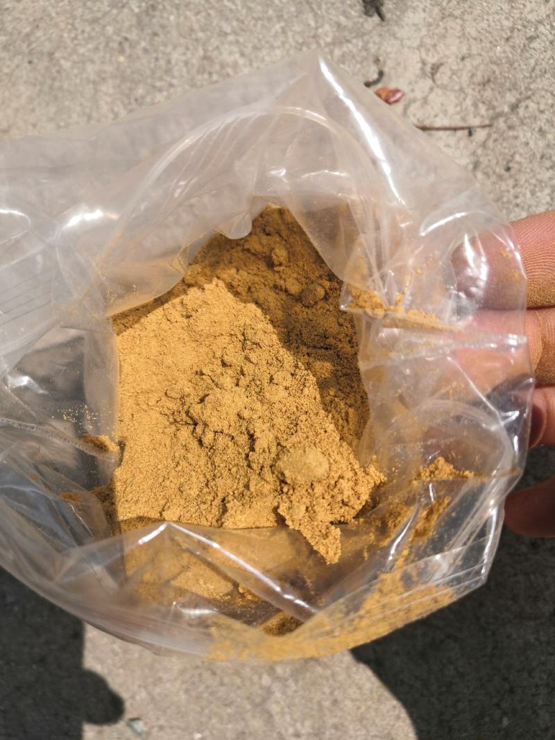 青黄辣椒粉辣度高颜色正欢迎客户订购