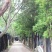 御勺牌香菇酱，***，原料来自自有工厂基地，出口备案。